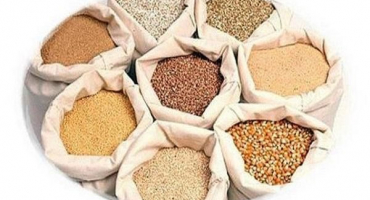 Složení a pravidla použití premixů pro kuřata, druhy a nejlepší značky směsí